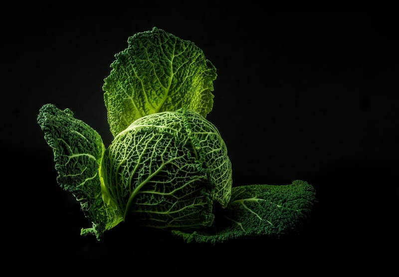 Green Leaves